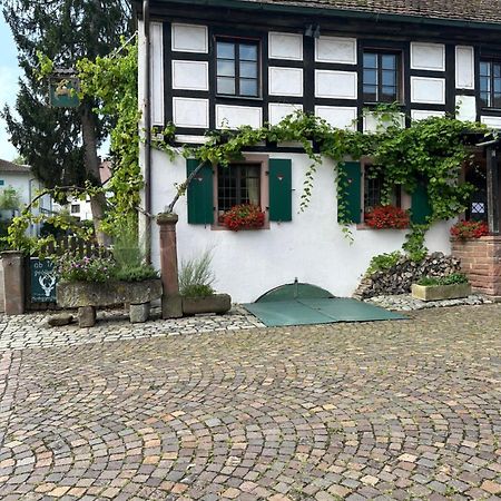Exklusive Maisonette-Wohnung Am Rande Von Freiburg Мерцхаузен Экстерьер фото