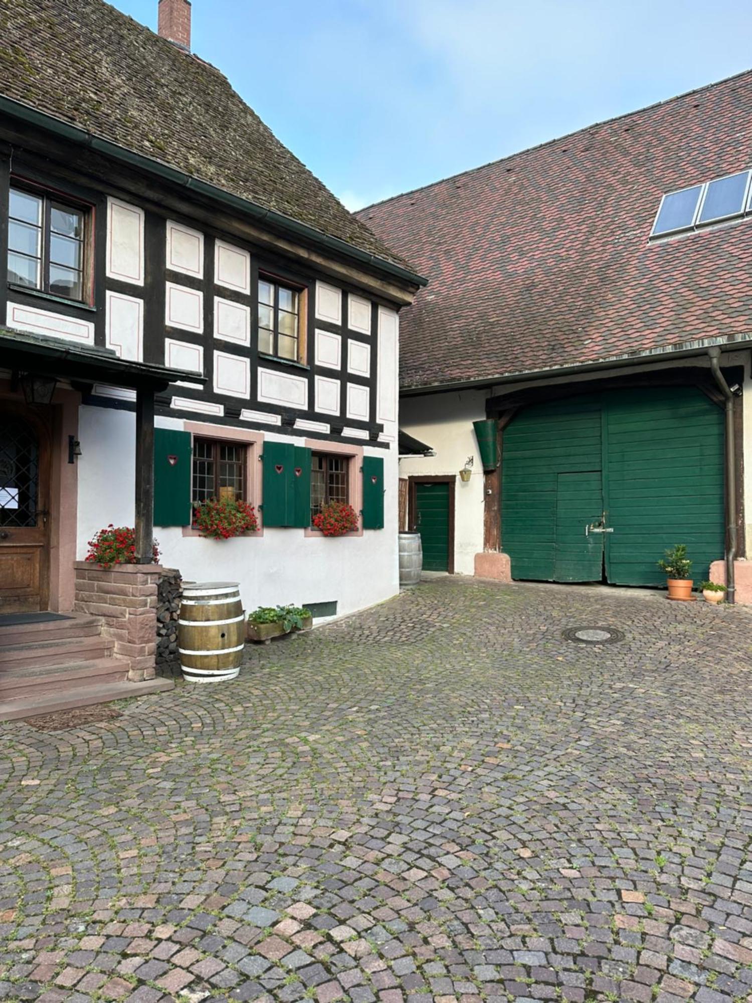 Exklusive Maisonette-Wohnung Am Rande Von Freiburg Мерцхаузен Экстерьер фото